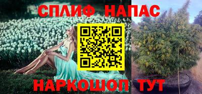 каннабис Камышлов