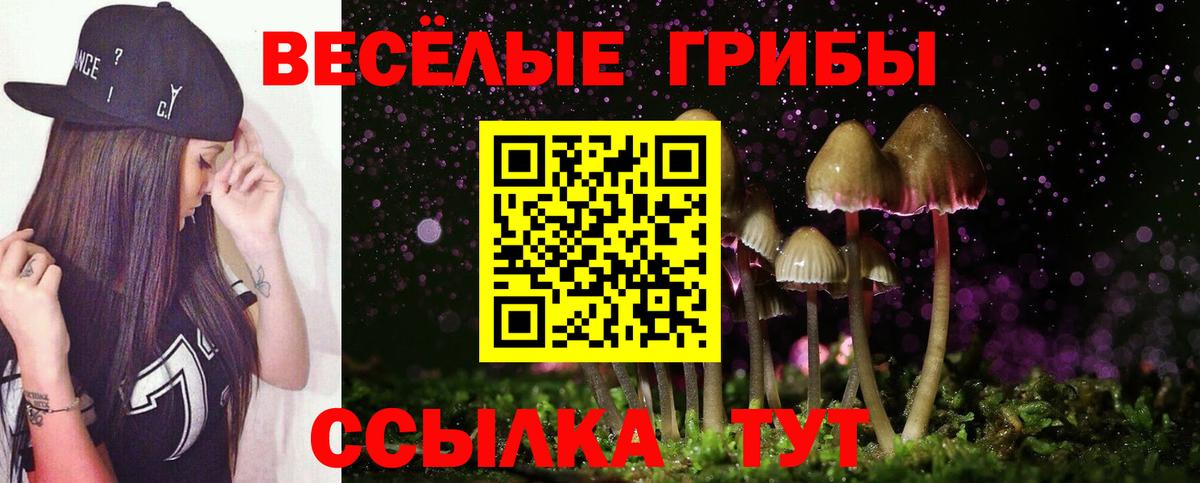 Тайшет  Галлюциногенные грибы прущие грибы  Псилоцибиновые грибы Magic Shrooms  Вход с VPN 