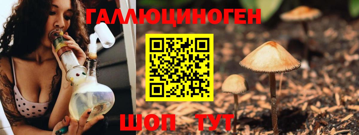 Псилоцибиновые грибы GOLDEN TEACHER Тайшет